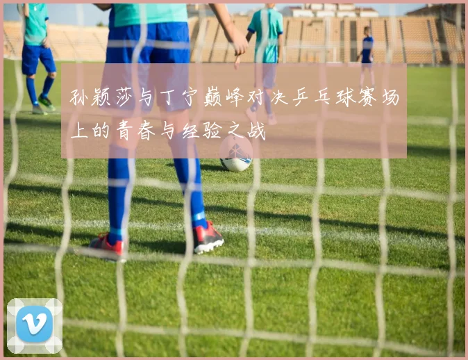 孙颖莎与丁宁巅峰对决乒乓球赛场上的青春与经验之战