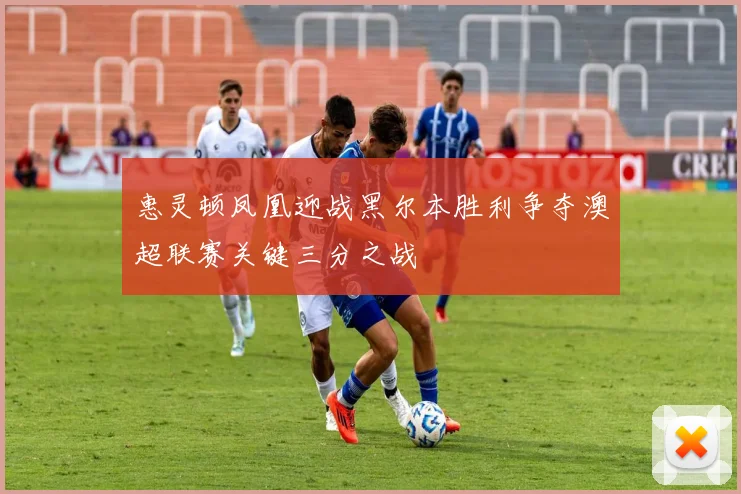 惠灵顿凤凰迎战黑尔本胜利争夺澳超联赛关键三分之战