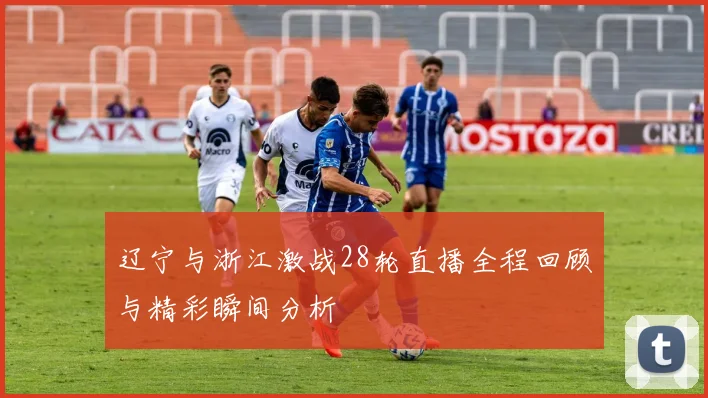 辽宁与浙江激战28轮直播全程回顾与精彩瞬间分析
