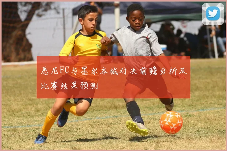 悉尼FC与墨尔本城对决前瞻分析及比赛结果预测