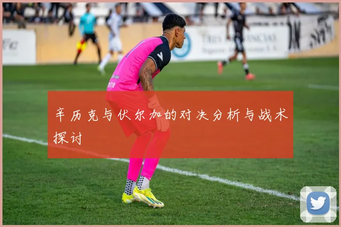 辛历克与伏尔加的对决分析与战术探讨