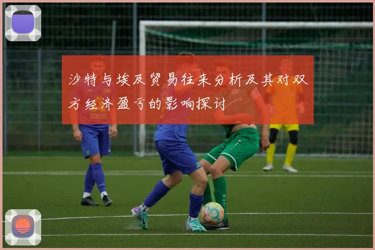 沙特与埃及贸易往来分析及其对双方经济盈亏的影响探讨